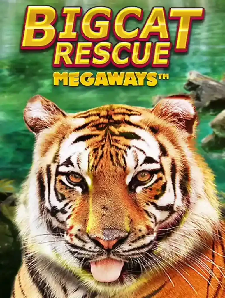 BOM88 Big Cat Rescue Megaways